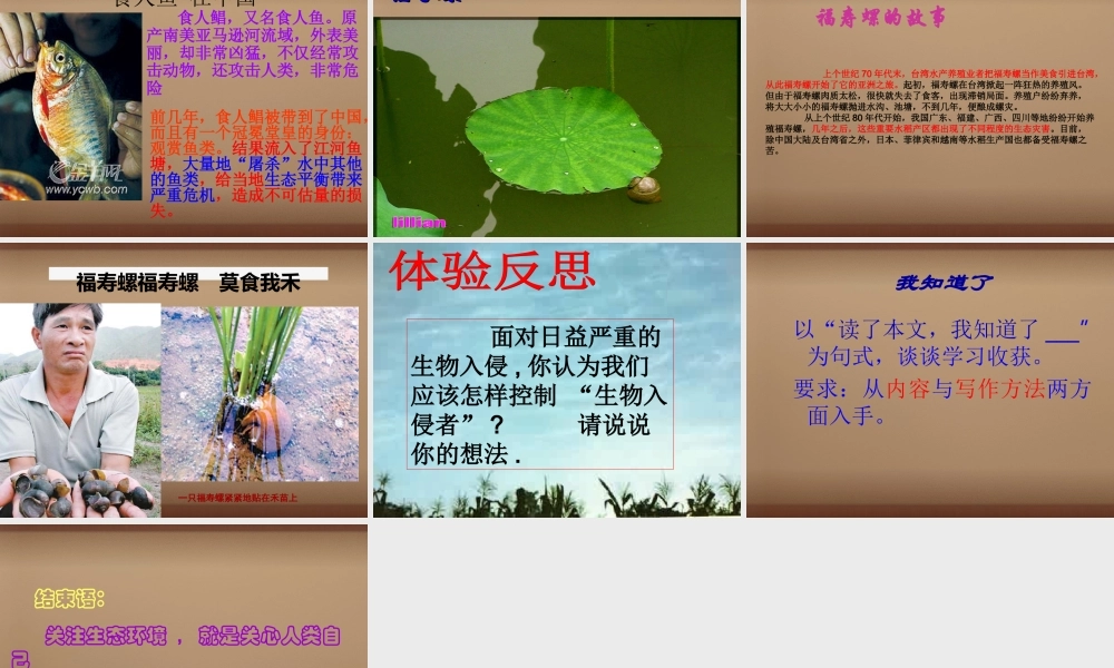 校八年级语文上册(第19课 生物入侵者)课件 (新版)新人教版 课件