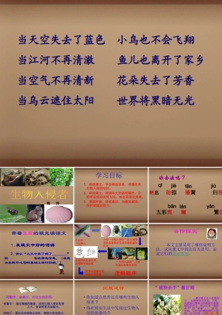 校八年级语文上册(第19课 生物入侵者)课件 (新版)新人教版 课件
