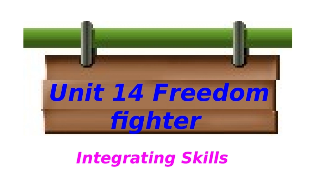 高二英语Unit14 Integrating Skills 人教版 课件