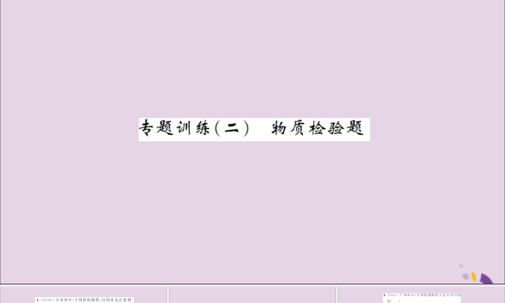 湖北省中考化学一轮复习 专题训练(二)物质检验题习题课件