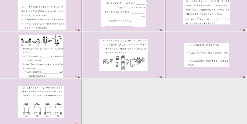 湖北省中考化学一轮复习 专题训练(二)物质检验题习题课件