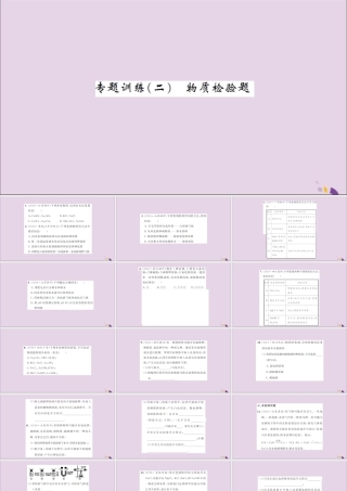 湖北省中考化学一轮复习 专题训练(二)物质检验题习题课件