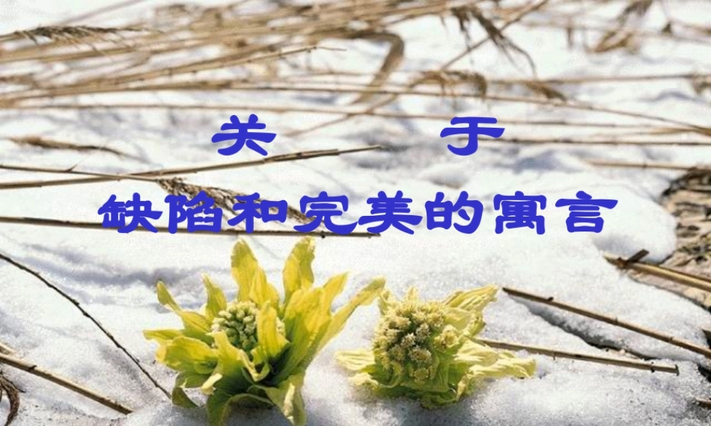 高三语文上学期(缺陷与完美) 课件 人教版第五册 课件