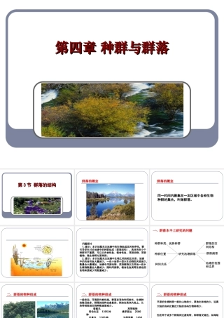 高二生物群落的结构 人教版 试题