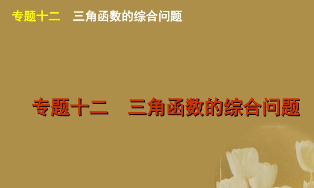 江苏省高考数学二轮复习 专题12 三角函数的综合问题精品课件