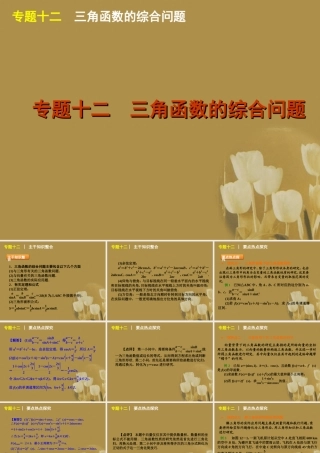 江苏省高考数学二轮复习 专题12 三角函数的综合问题精品课件