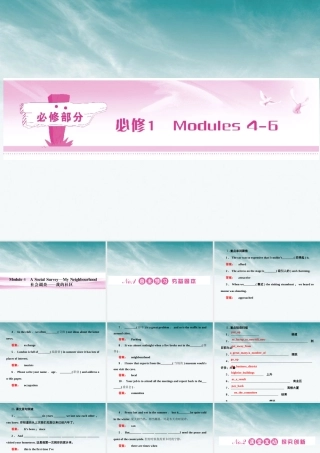 高考英语 Module 4　A Social Survey—My Neighbourhood总复习课件 外研版必修1 课件