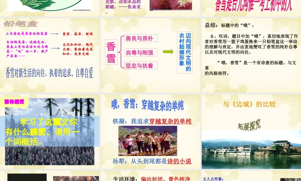 高考语文(哦，香雪)教学课件 粤教版 课件