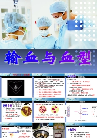 人教版七年级生物下册《输血与血型》课件
