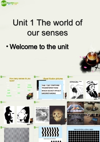 高中英语 Unit 1(The world of our senses)welcome to the unit课件3 牛津译林版必修3 课件