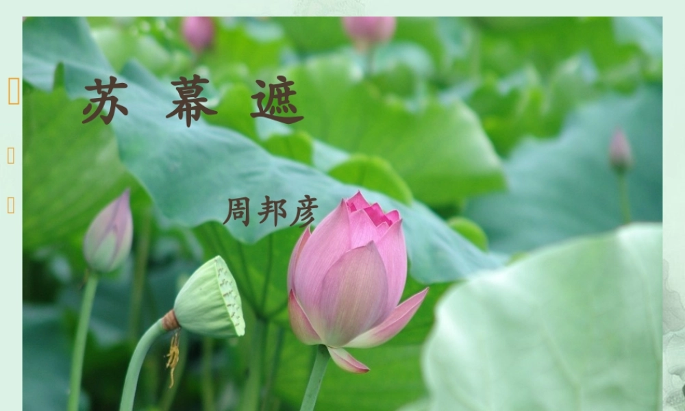 高二语文(苏幕遮)课件 苏科版 课件