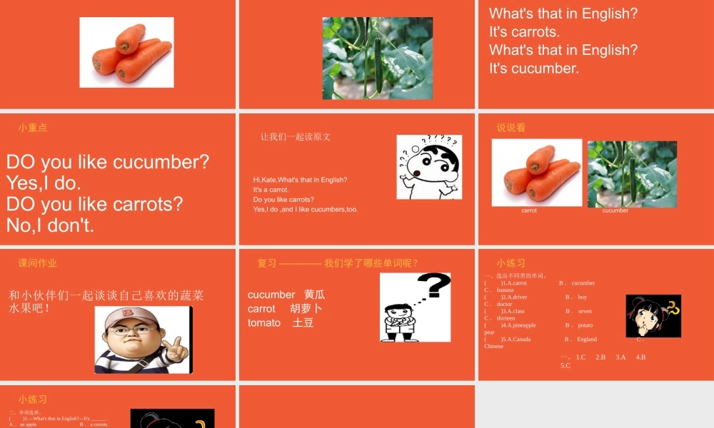 Unit-3-It's-a-pineapple-Lesson-16-课件2