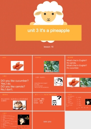 Unit-3-It's-a-pineapple-Lesson-16-课件2