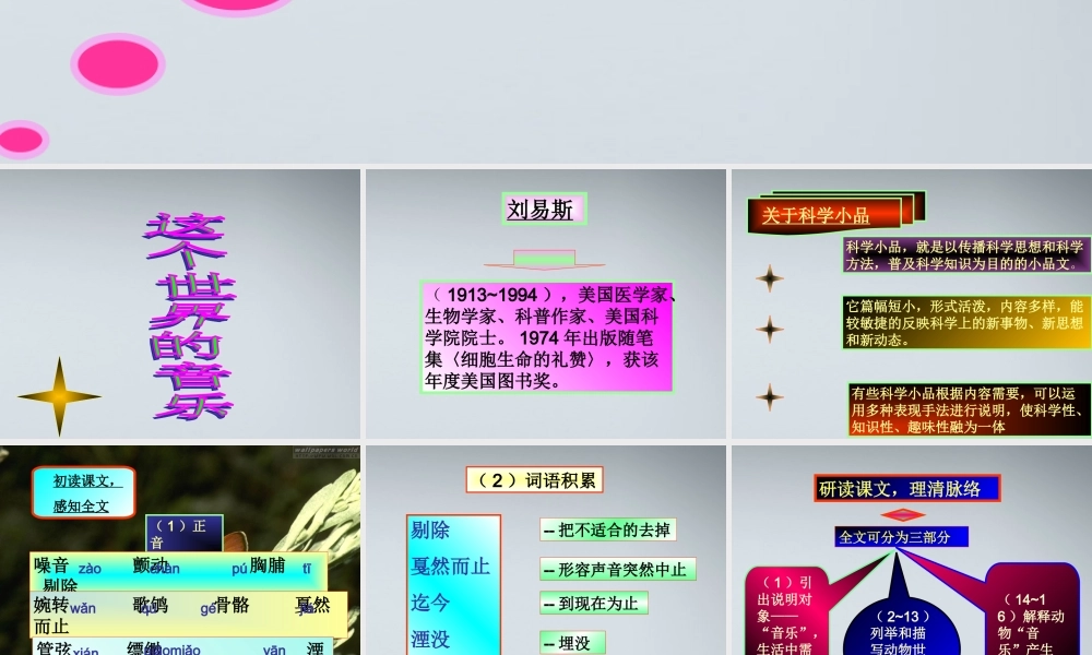 高中语文 27(这个世界的音乐)课件 粤教版必修3 课件