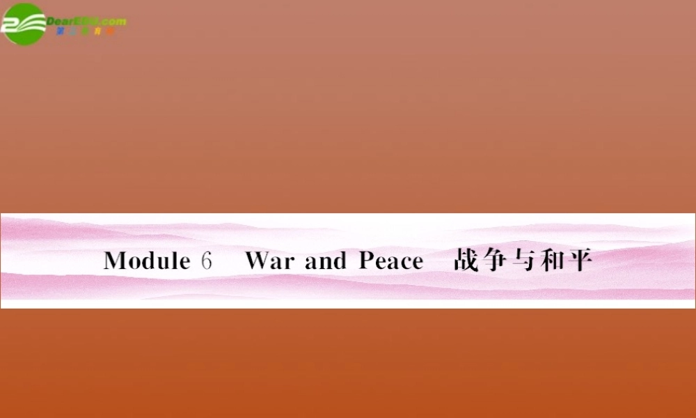 陕西省高考英语 Module 6　War and Peace总复习课件 外研版选修6 课件
