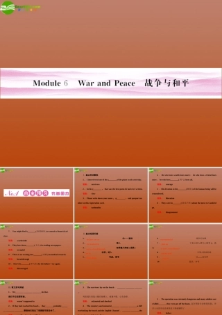陕西省高考英语 Module 6　War and Peace总复习课件 外研版选修6 课件