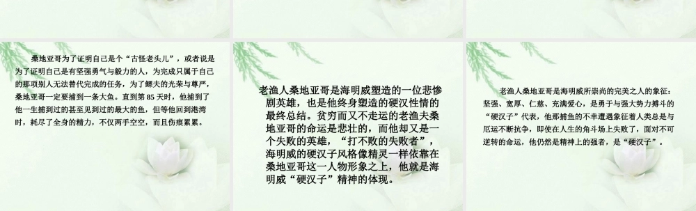 高中语文二轮复习 243 一个人并不是生来要被打败的(4)课件(新课标) 课件