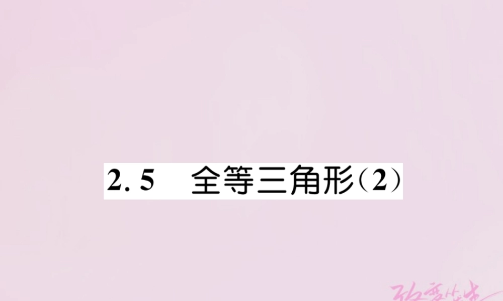 秋八年级数学上册 第2章 三角形 2.5 全等三角形(2)练习课件 (新版)湘教版 课件