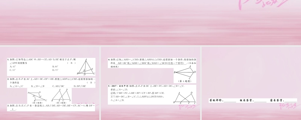 秋八年级数学上册 第2章 三角形 2.5 全等三角形(2)练习课件 (新版)湘教版 课件