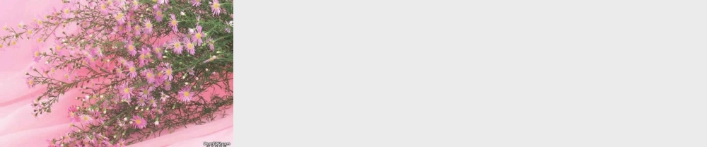 项链 课件示例一 课件