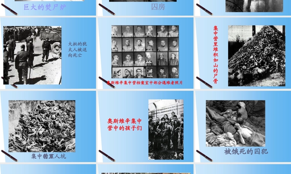 高中语文 13(奥斯威辛没有什么新闻)课件 语文版必修1 课件