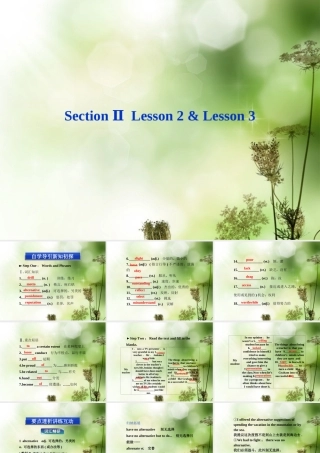 高中英语 Unit15 Section Ⅱ Lesson2 & Lesson3精品课件 北师大版必修5 课件