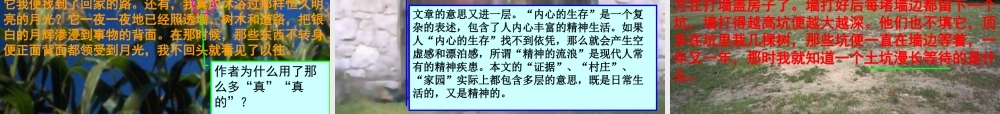 高中语文(今生今世的证据)课件3 苏教版必修1 课件