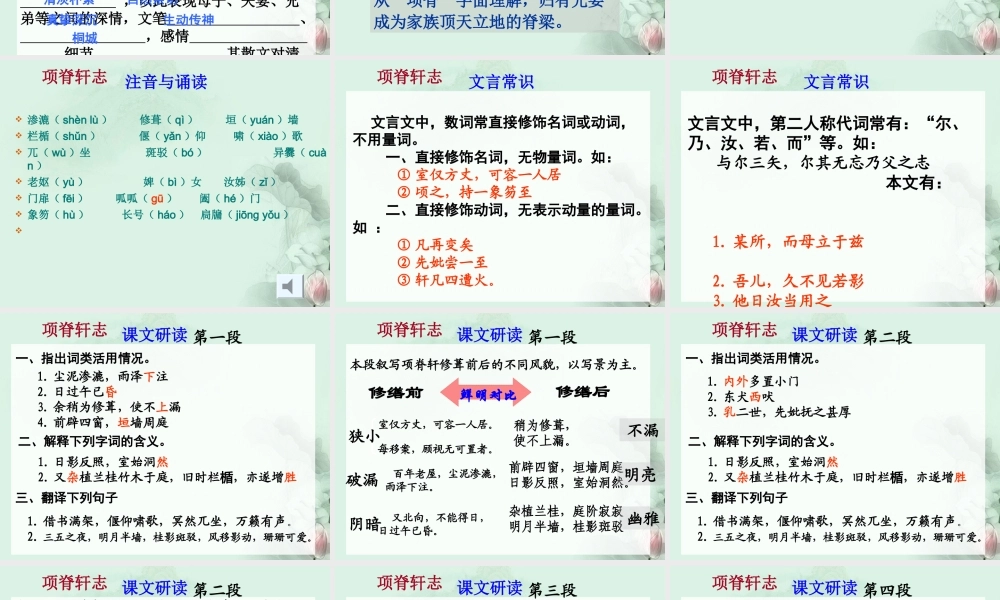 福建省泉州一中高二语文 项脊轩志课件 新人教版 课件