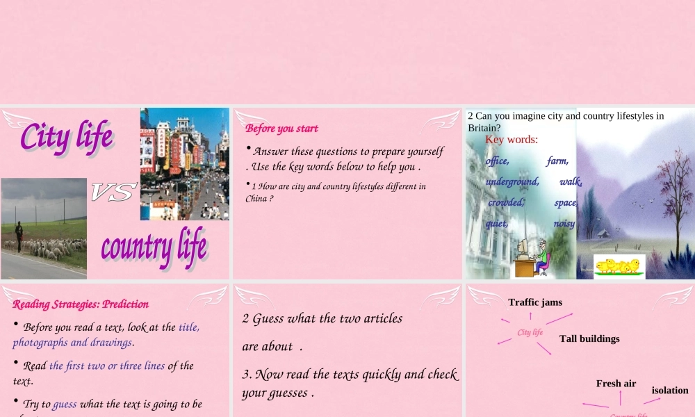 高中英语 Unit 1 Lifestyle Lesson 4 City and country课件 北师大版必修1 课件