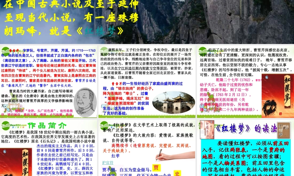 高三语文下学期 宝玉挨打 课件 人教版第六册 课件