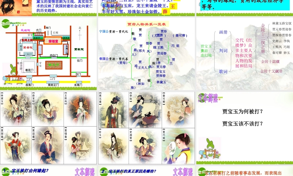 高三语文下学期 宝玉挨打 课件 人教版第六册 课件