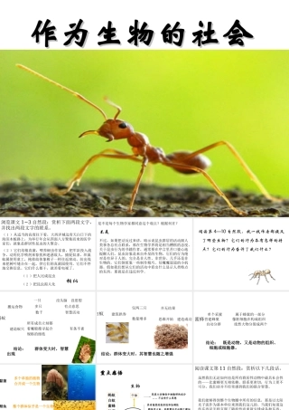 作为生物的社会正式版