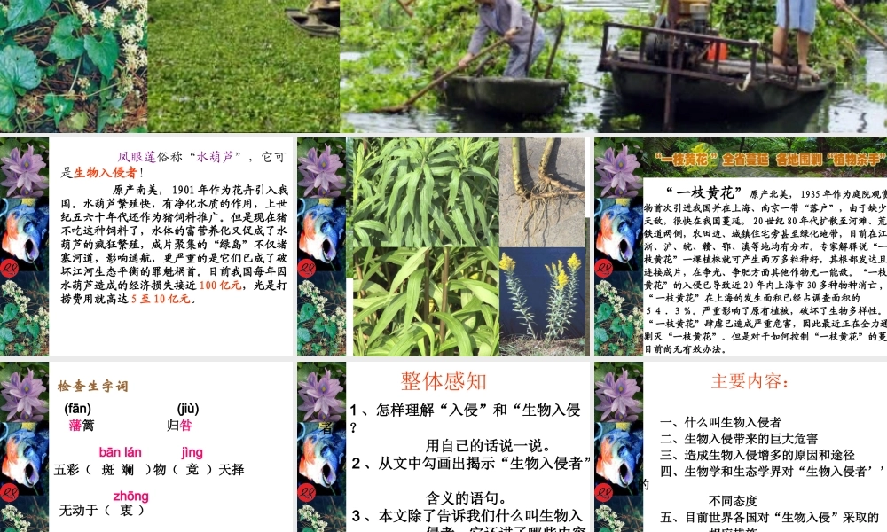 《生物入侵者》课件