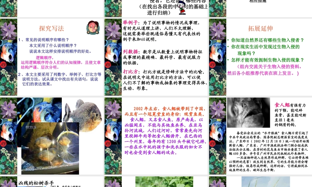 《生物入侵者》课件