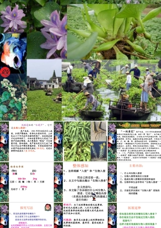 《生物入侵者》课件