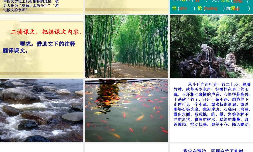 小石潭记(1)