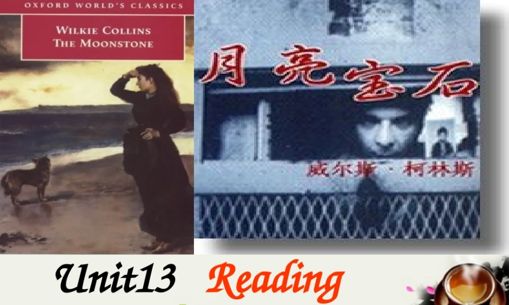 高三英语 Unit13 Reading课件 人教版 课件