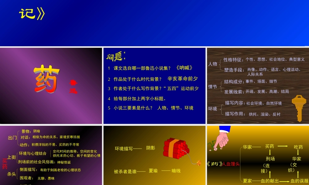 高中语文药5ppt 课件