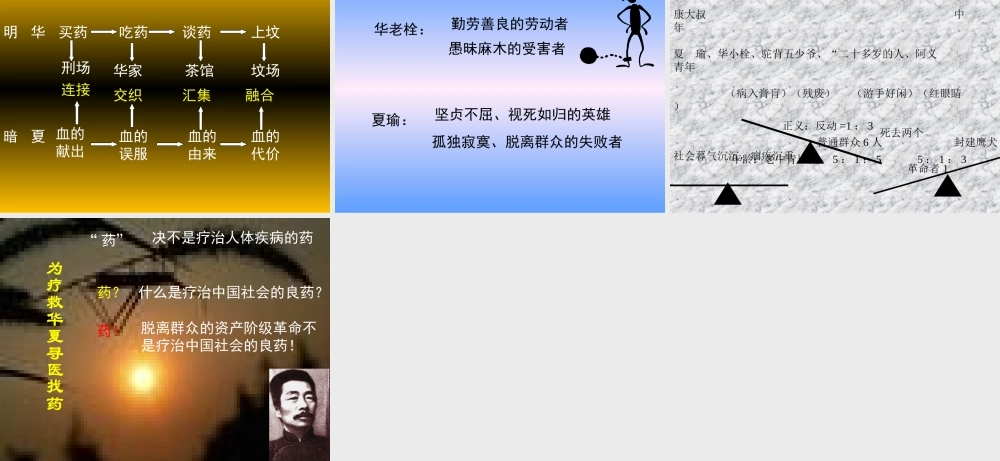 高中语文药5ppt 课件