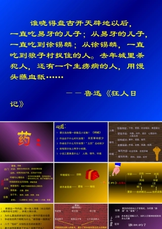 高中语文药5ppt 课件