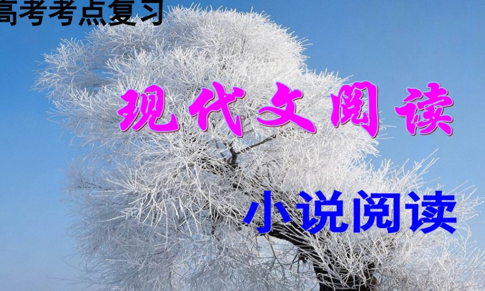 高三语文高考小说阅读鉴赏课件