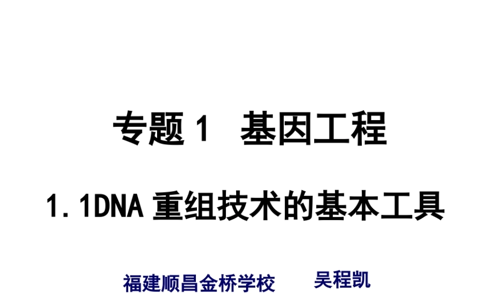 1.1-DNA重组技术的基本工具