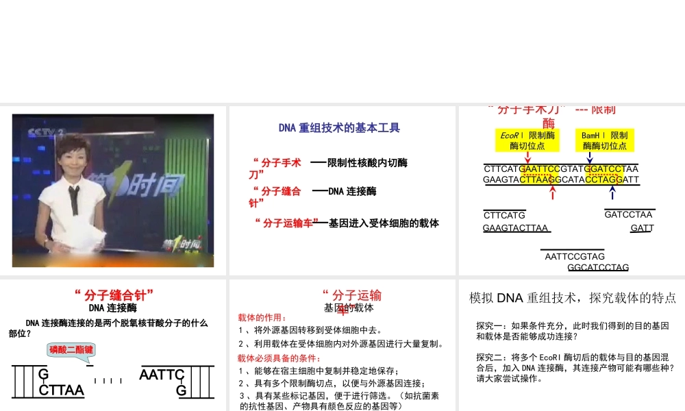 1.1-DNA重组技术的基本工具