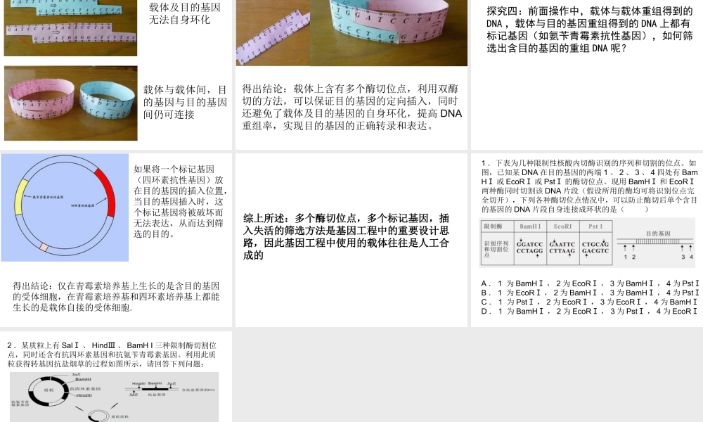 1.1-DNA重组技术的基本工具
