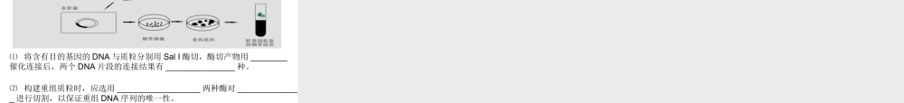 1.1-DNA重组技术的基本工具