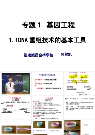 1.1-DNA重组技术的基本工具