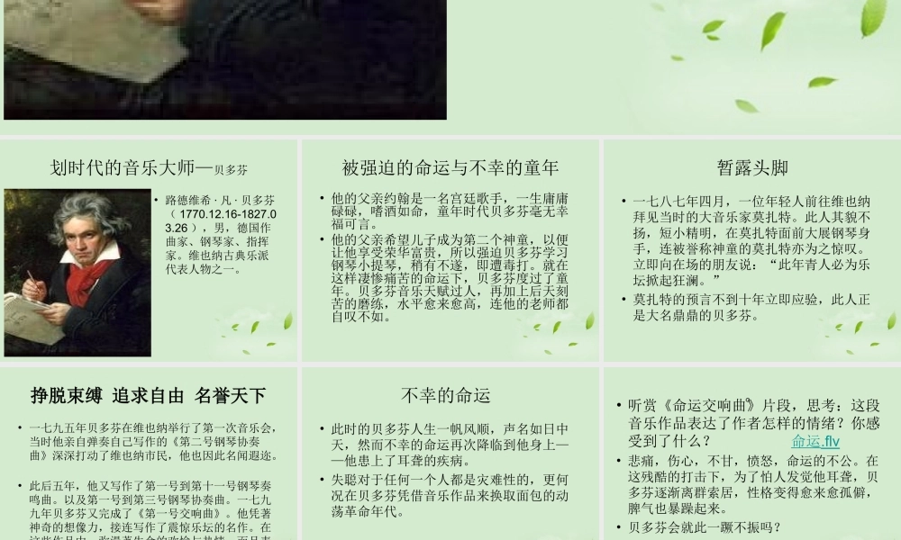 高中高一音乐 贝多芬课件