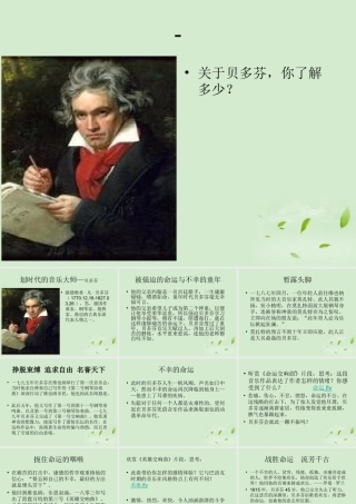 高中高一音乐 贝多芬课件