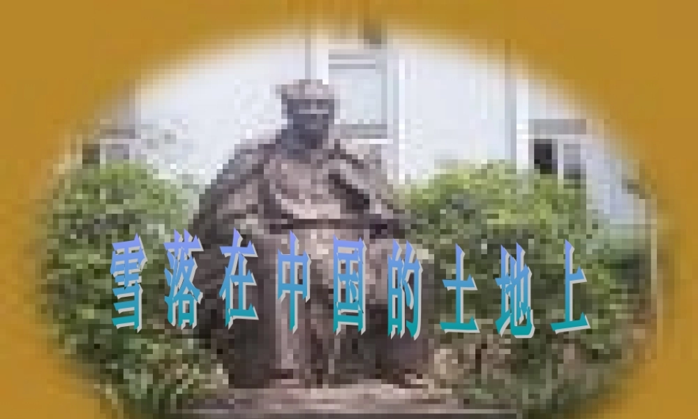 高中语文雪落在中国的土地上课件2 粤教版 必修2 课件
