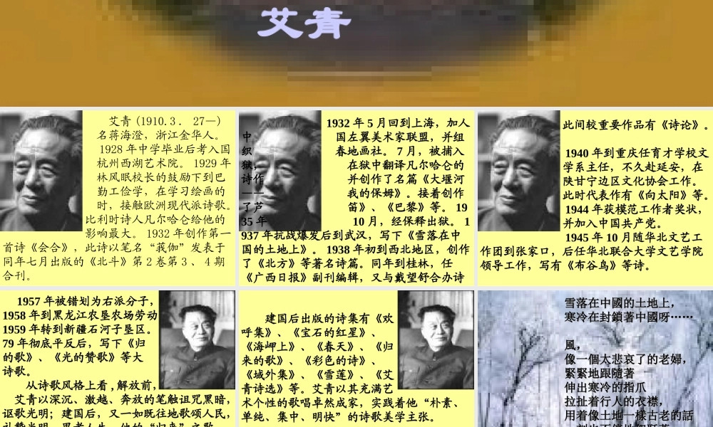 高中语文雪落在中国的土地上课件2 粤教版 必修2 课件